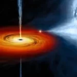 What Happens when a Black Hole swallows a Star?